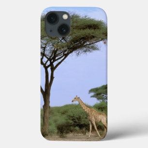 Africa, Botswana, Okavango Delta. Southern iPhone 13 Case