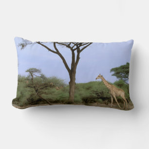 Africa, Botswana, Okavango Delta. Southern Lumbar Cushion