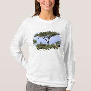 Africa, Botswana, Okavango Delta. Southern T-Shirt
