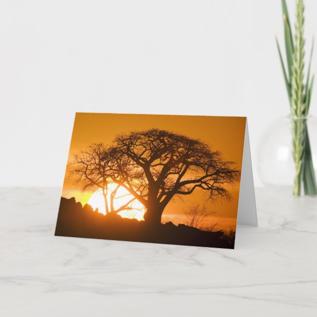 Africa, Botswana, Setting sun silhouettes Baobab Card (Front)