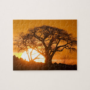 Africa, Botswana, Setting sun silhouettes Baobab Jigsaw Puzzle