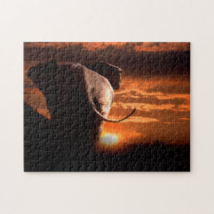 Africa Bull Elephant in the Setting Sun. Jigsaw Puzzle