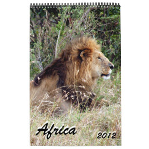 africa calendar 2012