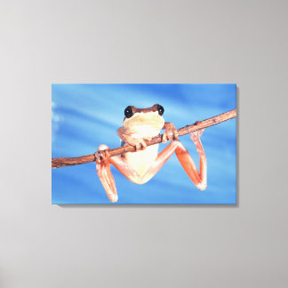 Africa Canvas Print
