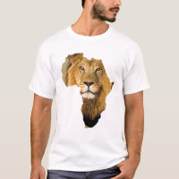 Africa Continent African Lion Animal