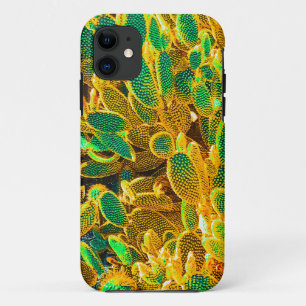 Africa Desert Cactus Plants Prickly Pear Case-Mate iPhone Case