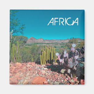Africa Desert Landscape Nature Cactus Plants Magnet