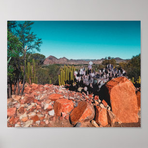 Africa Desert Landscape Nature Cactus Plants Postc Poster