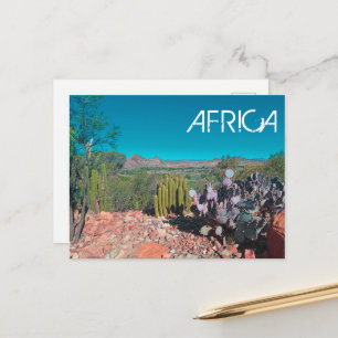 Africa Desert Landscape Nature Cactus Plants Postcard
