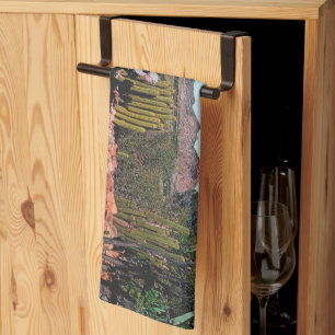 Africa Desert Landscape Nature Cactus Plants Tea Towel