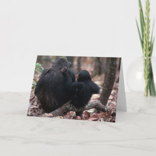 Africa, East Africa, Tanzania, Gombe National Card