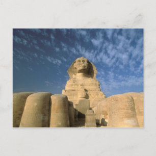 Africa, Egypt, Cairo, Giza Plateau. Sphinx Postcard
