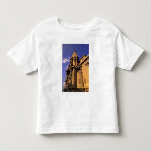 Africa, Egypt, Cairo, Heliopolis. Baron's Toddler T-Shirt