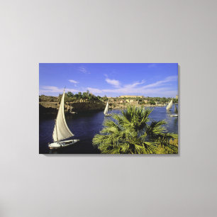 Africa, Egypt, Upper Egypt, Aswan. Feluccas 2 Canvas Print