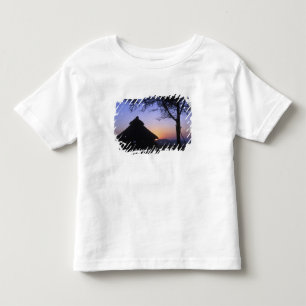 Africa, Ethiopia, Omo river region, Sunset over Toddler T-Shirt