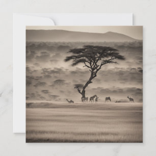 Africa Holiday Card