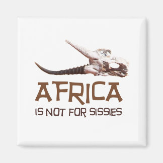 Africa is not for sissies: African Springbok skull Magnet