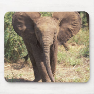 Africa, Kenya, Amboseli National Park. African 2 Mouse Pad