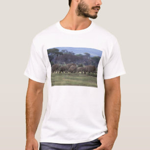 Africa, Kenya, Amboseli National Park. African 3 T-Shirt