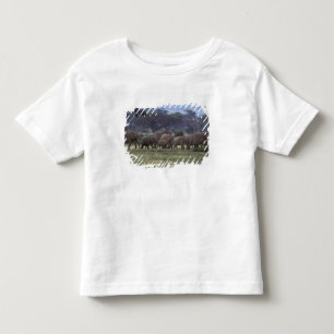 Africa, Kenya, Amboseli National Park. African 3 Toddler T-Shirt