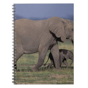 Africa, Kenya, Amboseli National Park. African 4 Spiral Notebook