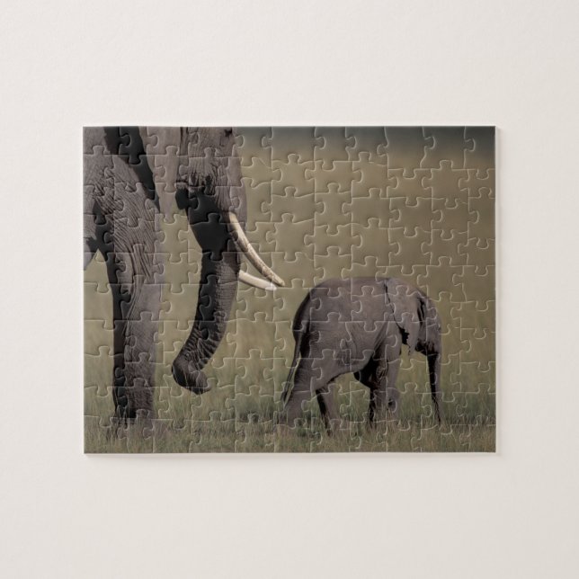 Africa, Kenya, Amboseli National Park. African Jigsaw Puzzle (Horizontal)