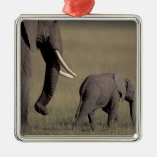Africa, Kenya, Amboseli National Park. African Metal Tree Decoration