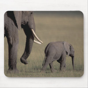 Africa, Kenya, Amboseli National Park. African Mouse Pad