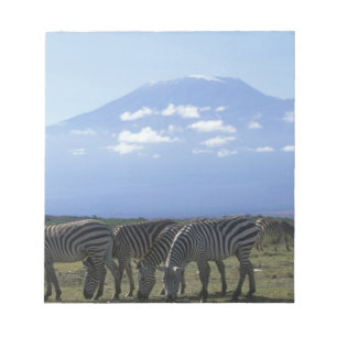 Africa, Kenya, Amboseli National Park, Herd of Notepad