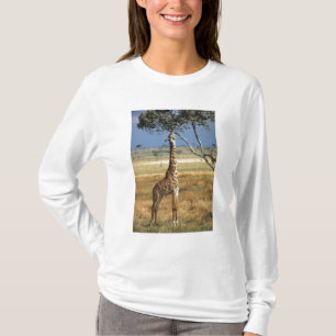 Africa, Kenya, Amboseli NP. A Common, or Masai, T-Shirt