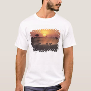 Africa, Kenya, Amboseli NP. Zebra walk to the T-Shirt