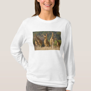 Africa. Kenya. Herd of Reticulated Giraffes T-Shirt