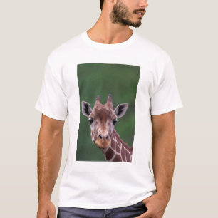 Africa, Kenya, Impala Ranch. Reticulated T-Shirt