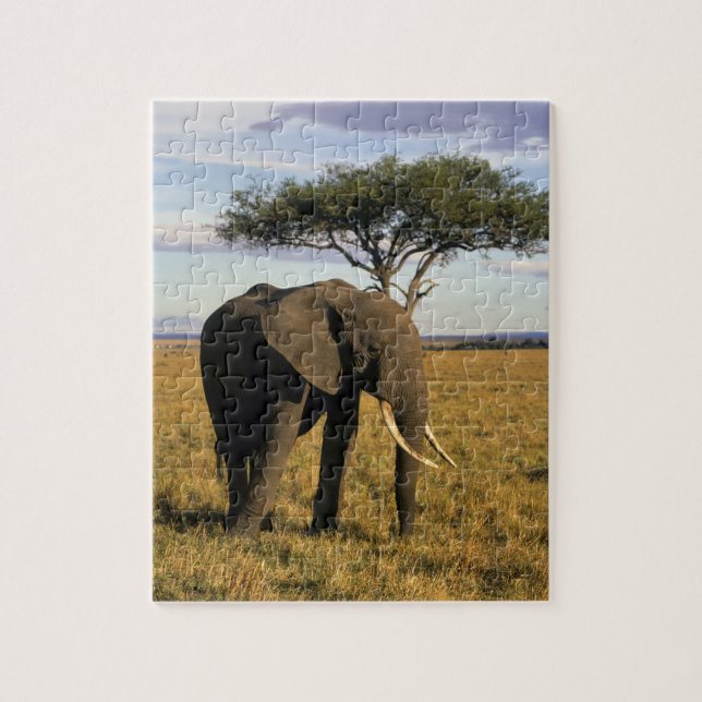 Africa, Kenya, Maasai Mara. An elehpant in the Jigsaw Puzzle (Vertical)
