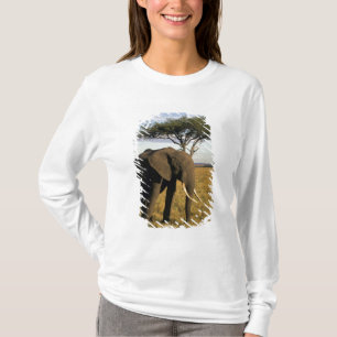 Africa, Kenya, Maasai Mara. An elehpant in the T-Shirt