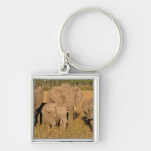 Africa, Kenya, Masai Mara. African Elephant Key Ring