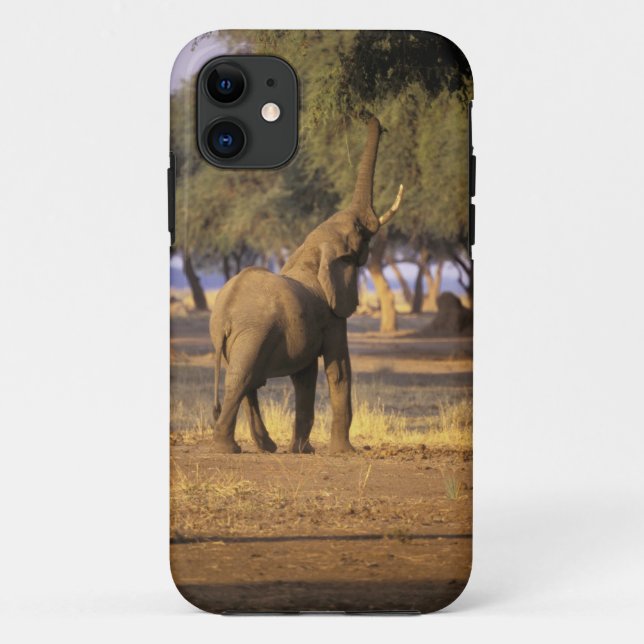 Africa, Kenya, Masai Mara. Elephant (Loxodonta Case-Mate iPhone Case (Back)