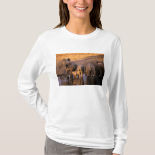 Africa, Kenya, Masai Mara. Elephants (Loxodonta T-Shirt