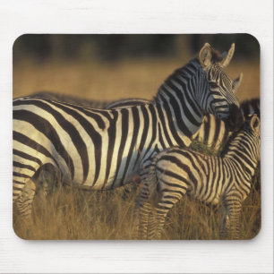 Africa, Kenya, Masai Mara Game Reserve. Plains Mouse Pad