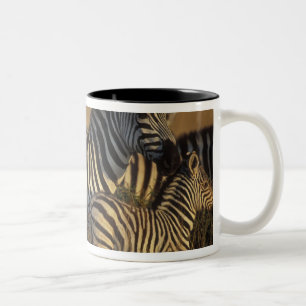 Africa, Kenya, Masai Mara Game Reserve. Plains Two-Tone Coffee Mug