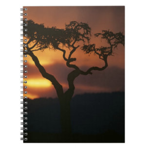 Africa, Kenya, Masai Mara Game Reserve, Setting Spiral Notebook