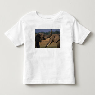 Africa, Kenya, Masai Mara Game Reserve, Two Bull Toddler T-Shirt