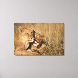 Africa, Kenya, Masai Mara Game Reserve, Young Canvas Print