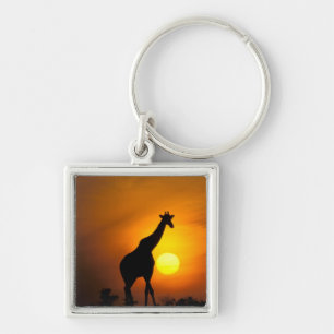 Africa, Kenya, Masai Mara. Giraffe (Giraffe Key Ring