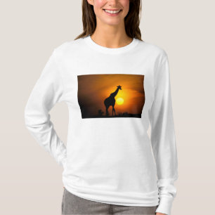 Africa, Kenya, Masai Mara. Giraffe (Giraffe T-Shirt