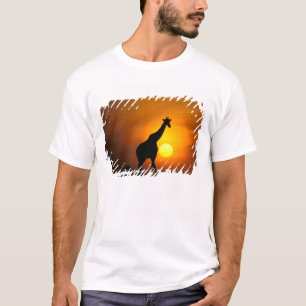 Africa, Kenya, Masai Mara. Giraffe (Giraffe T-Shirt