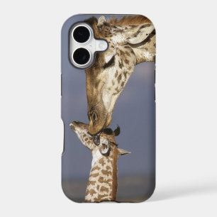 Africa, Kenya, Masai Mara. Giraffes (Giraffe