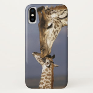 Africa, Kenya, Masai Mara. Giraffes (Giraffe Case-Mate iPhone Case