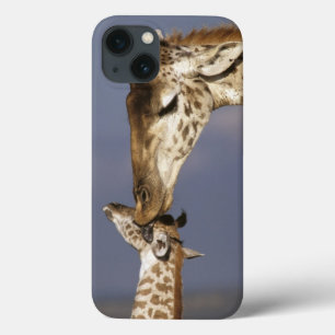 Africa, Kenya, Masai Mara. Giraffes (Giraffe iPhone 13 Case