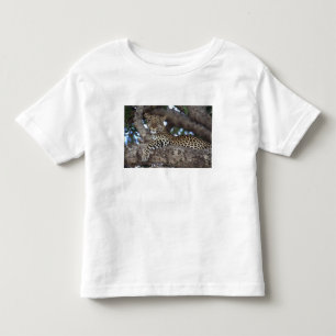 Africa. Kenya. Masai Mara. Leopard (Panthera Toddler T-Shirt